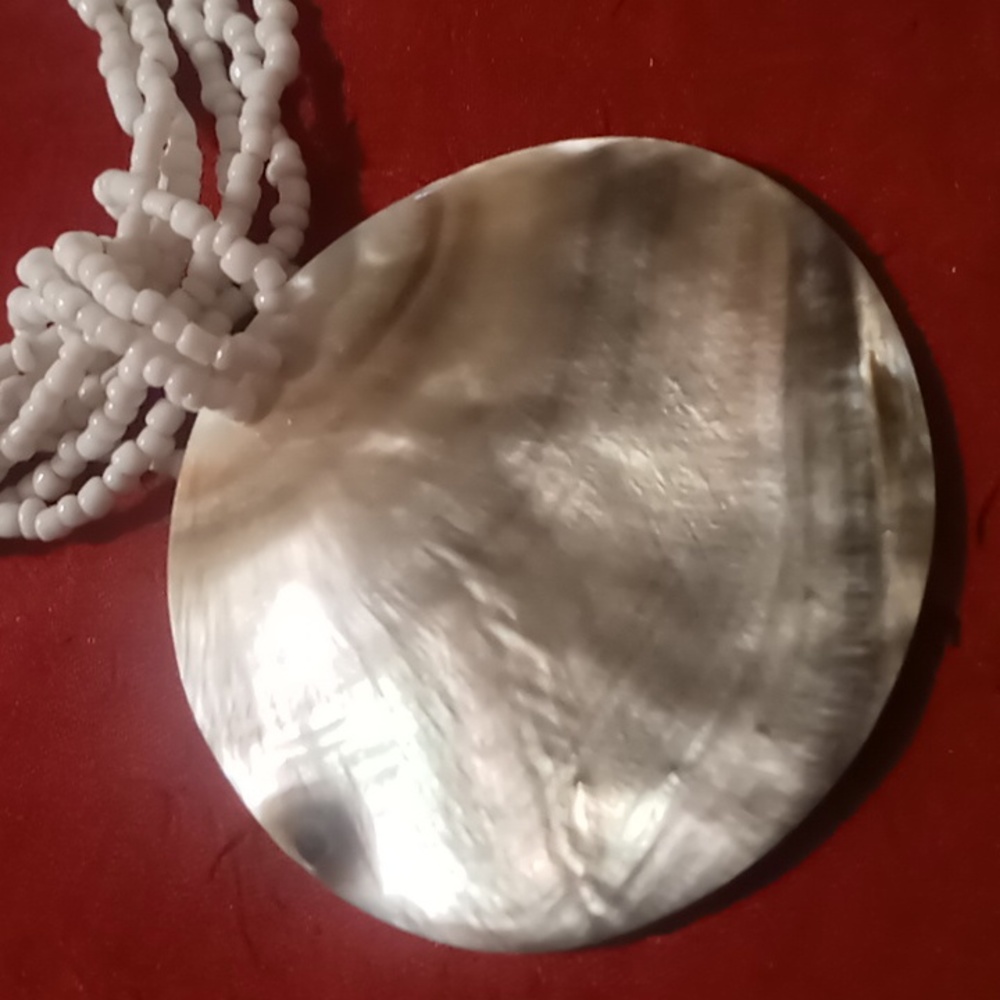 Natural abalone shell & seed bead collar necklace 14 inches long.
